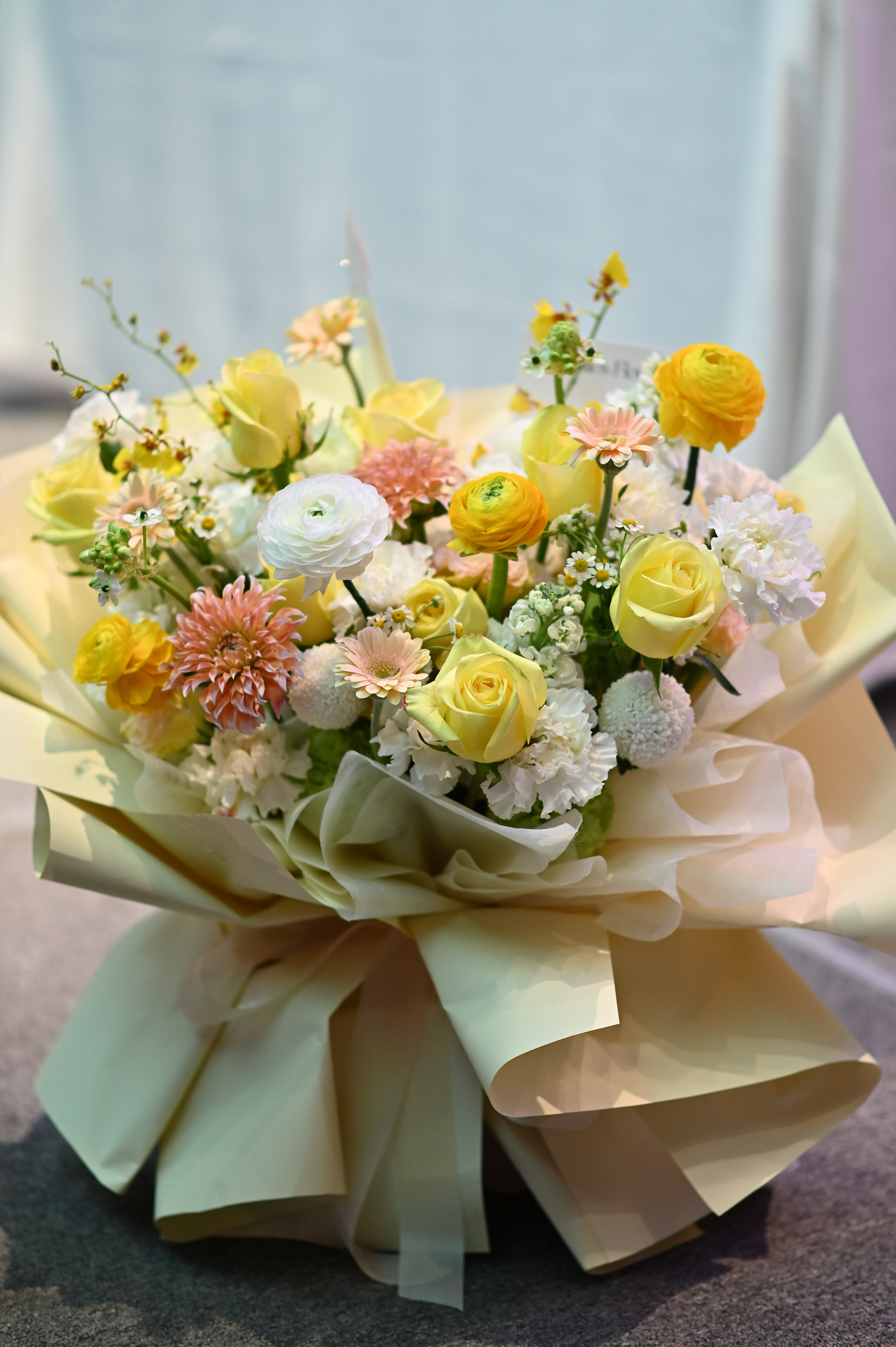 sethbday landscape 3